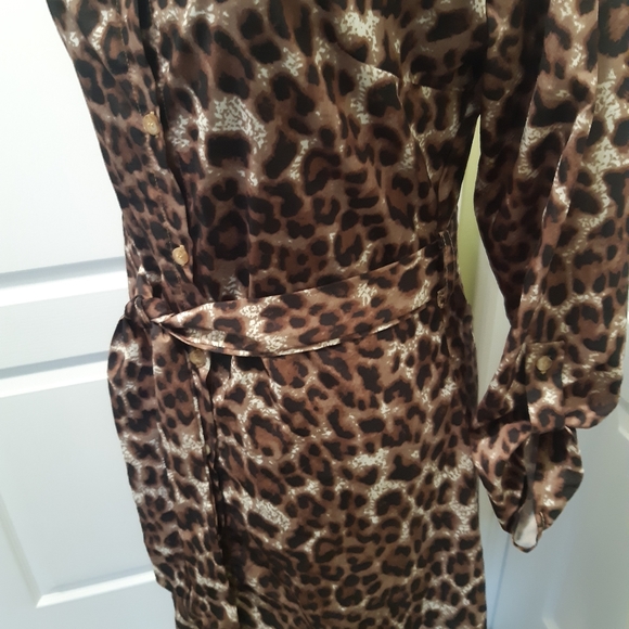 Leopard Print Dress - Picture 6 of 7